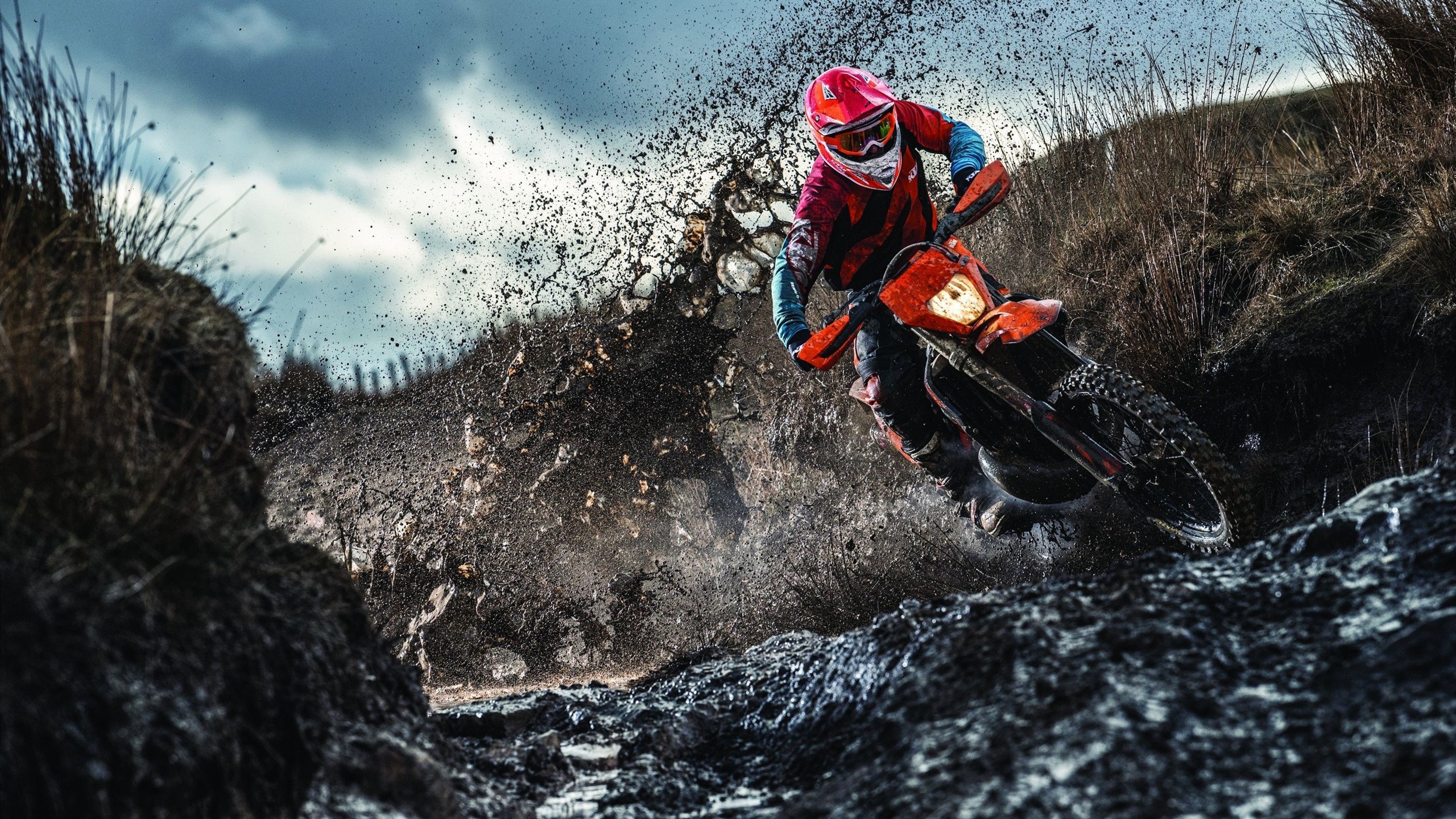 奥斯梅恩展现巨星价值，AC米兰稳稳拿下苏格兰新星