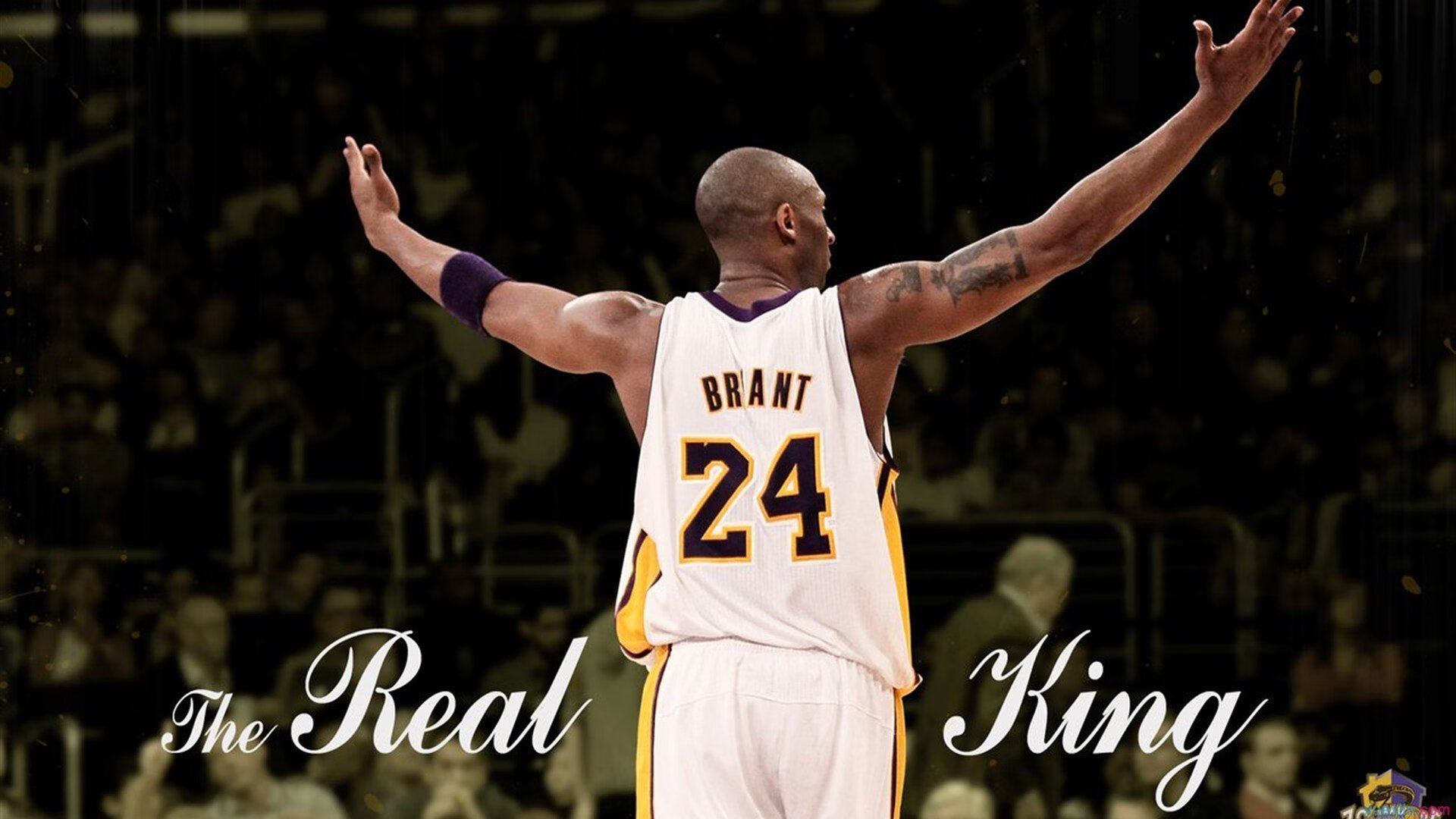 班凯罗统治级表现让比赛提前失去悬念，鹈鹕完成对上海队的全面横扫